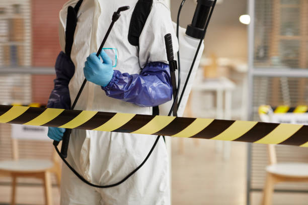 Professional Hoarding Cleanup technician working in New Athens, IL